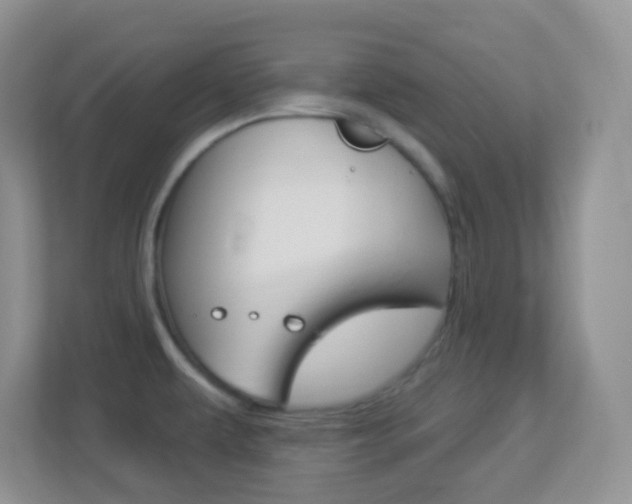 X0000113901479200909241152