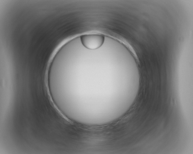 X0000113901480200909241152
