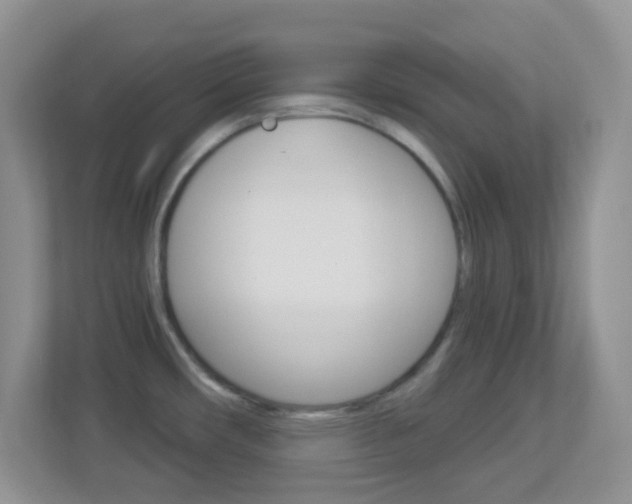 X0000113901482200909241152