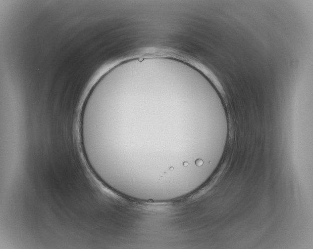 X0000113901486200909241152