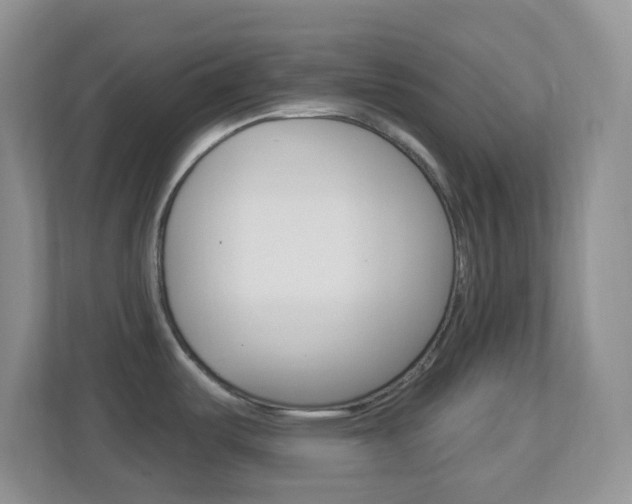 X0000113901487200909241152