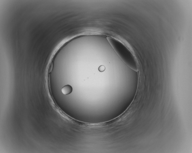 X0000113901488200909241152