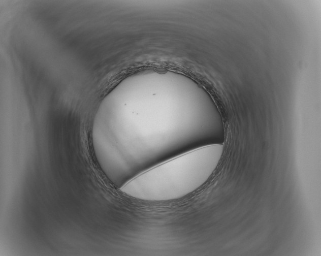 X0000113901489200909241152