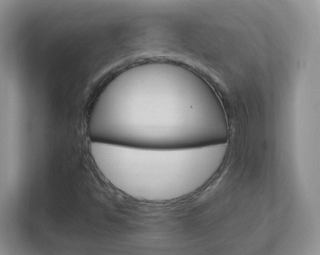 X0000113901494200909241152