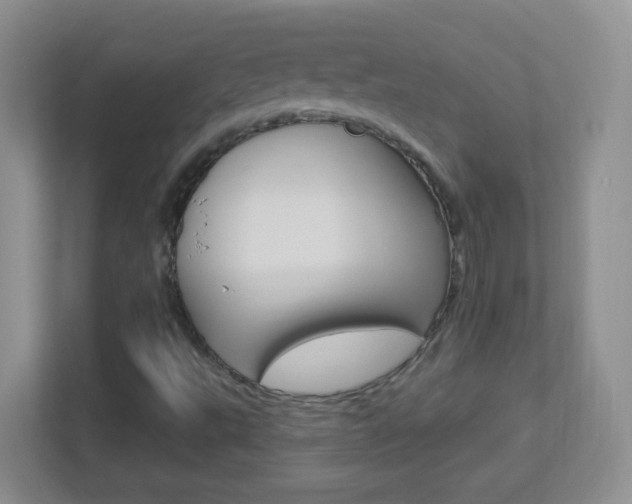 X0000113901495200909241152