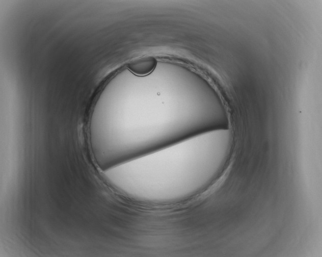 X0000113901497200909241152