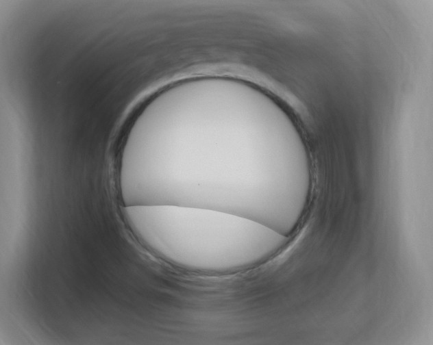 X0000113901498200909241152