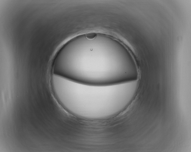 X0000113901500200909241152