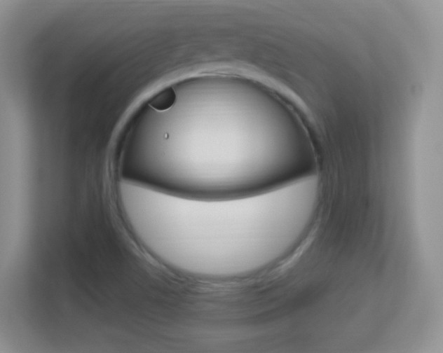 X0000113901506200909241152