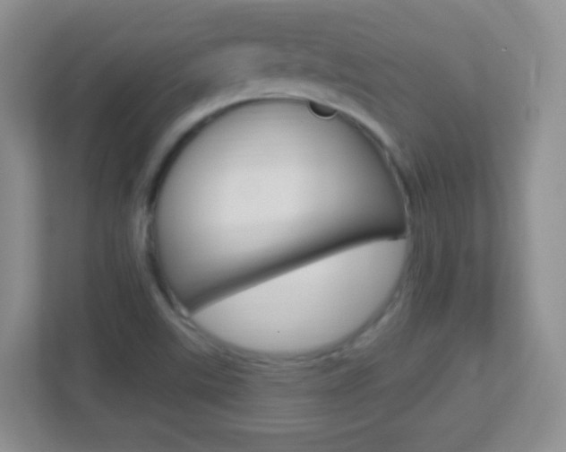 X0000113901507200909241152