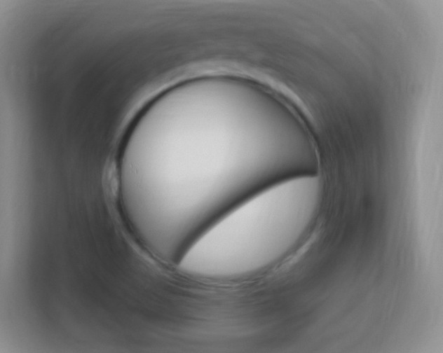X0000113901509200909241152