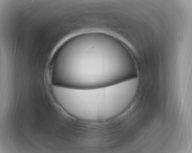 X0000113901510200909241152