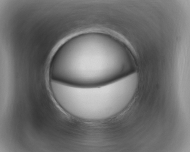 X0000113901512200909241152