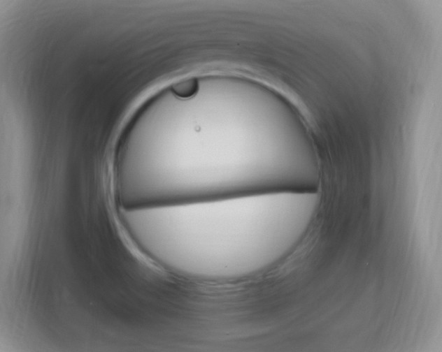 X0000113901515200909241152