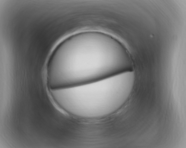 X0000113901519200909241152