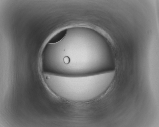 X0000113901520200909241152
