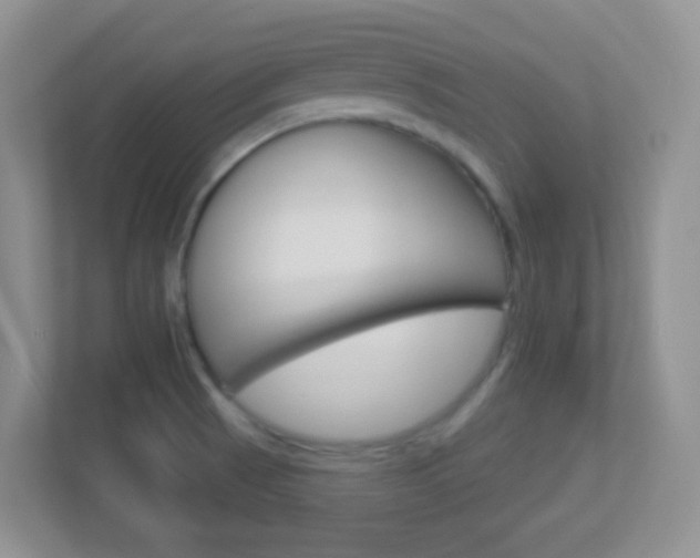 X0000113901521200909241152