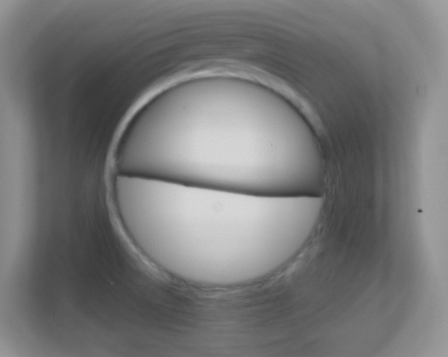 X0000113901522200909241152