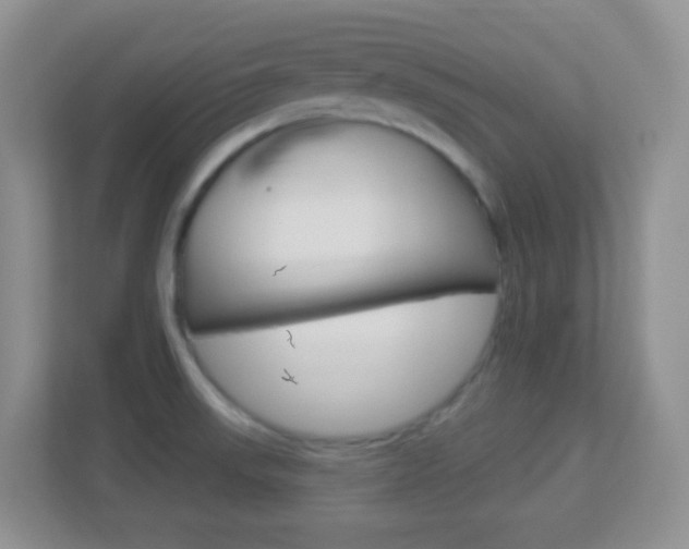 X0000113901523200909241152