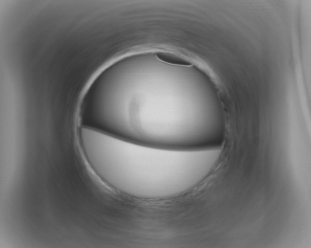 X0000113901524200909241152