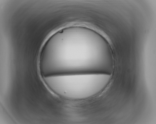 X0000113901525200909241152