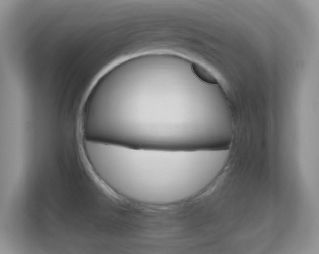 X0000113901526200909241152