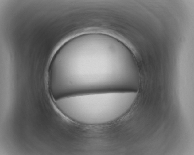 X0000113901527200909241152