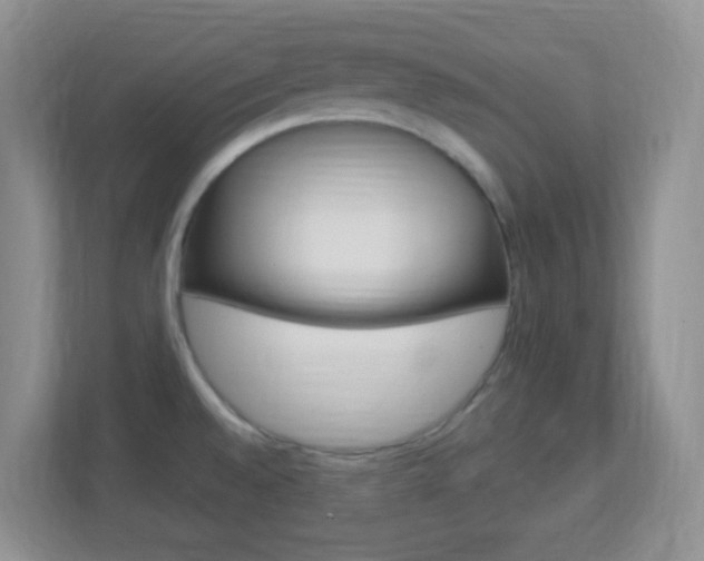 X0000113901528200909241152