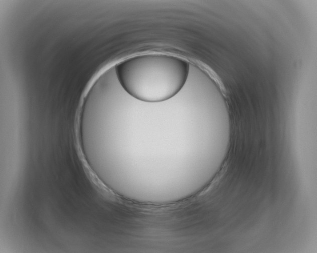 X0000113901530200909241152