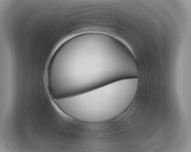 X0000113901531200909241152