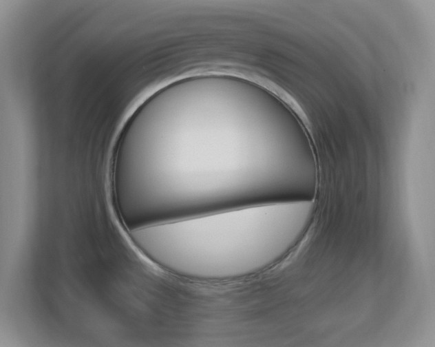 X0000113901533200909241152