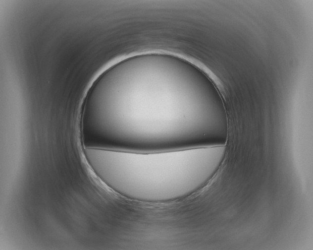 X0000113901534200909241152