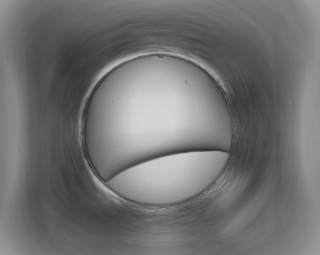 X0000113901535200909241152