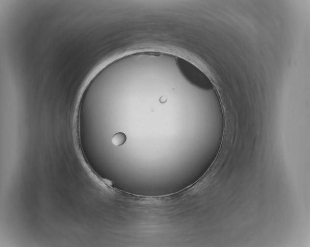 X0000113901536200909241152