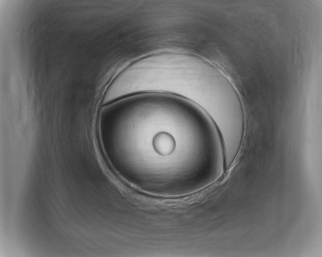 X0000113900001200909241446