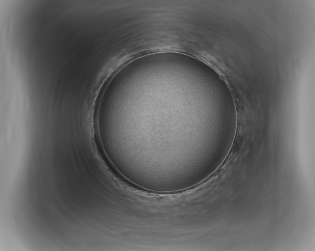 X0000113900002200909241446