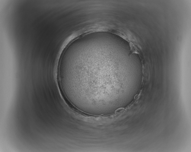 X0000113900003200909241446