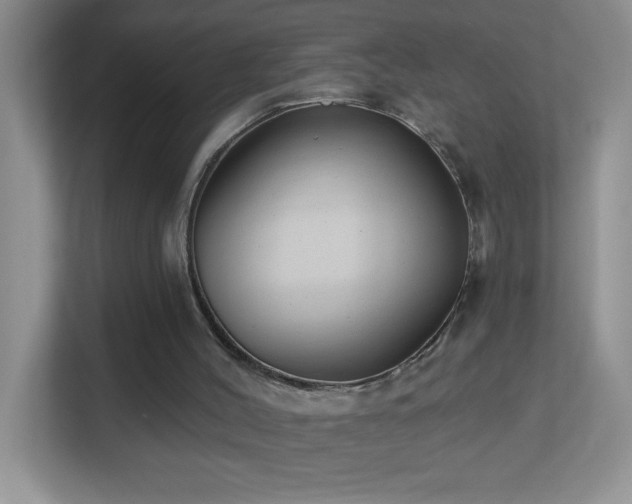 X0000113900004200909241446