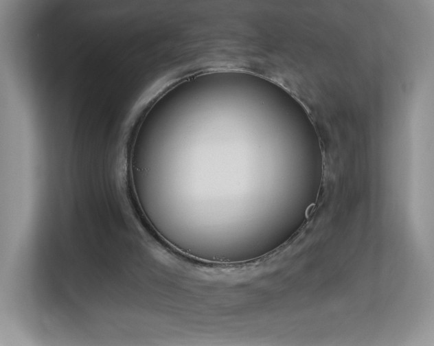 X0000113900005200909241446