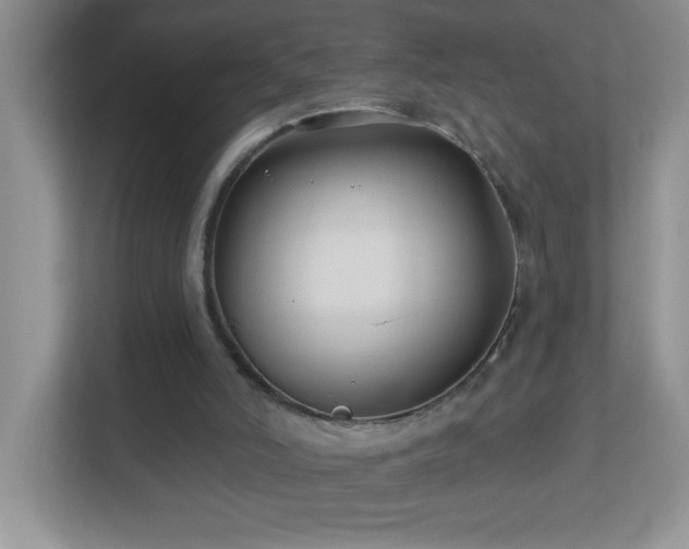 X0000113900006200909241446