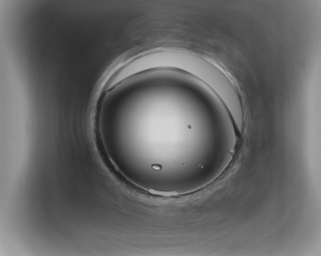 X0000113900007200909241446