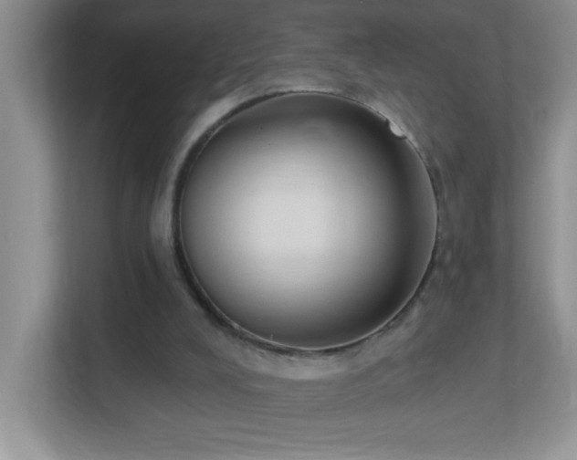 X0000113900008200909241446