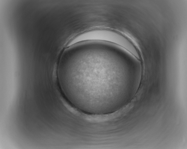 X0000113900009200909241446