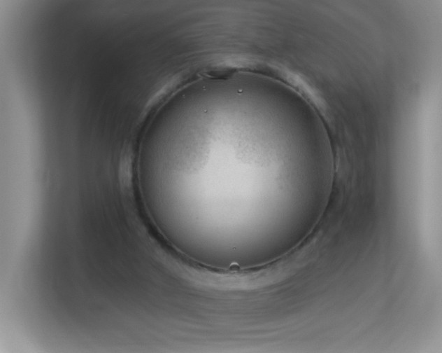 X0000113900010200909241446