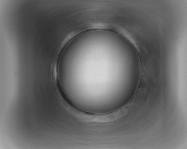 X0000113900011200909241446