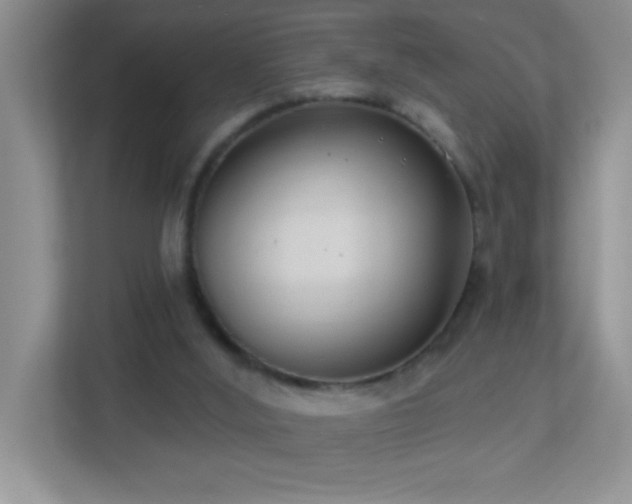 X0000113900012200909241446