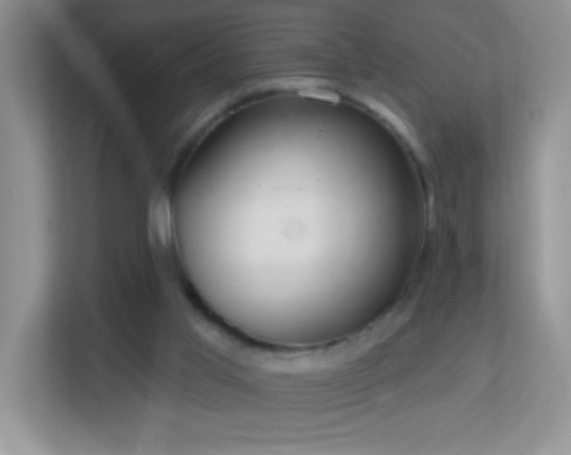 X0000113900013200909241446