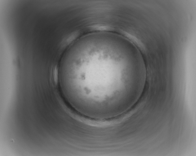 X0000113900014200909241446