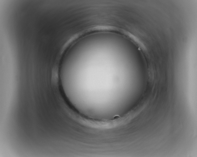 X0000113900015200909241446