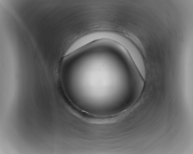 X0000113900017200909241446